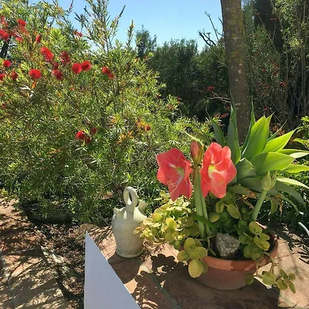 Design Andalusian Cortijo In With *